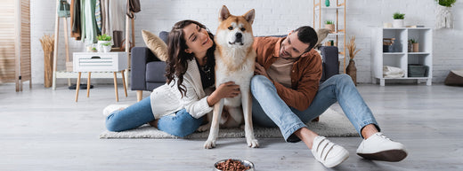 Pet Gut Health Guide: Benefits of Humic & Fulvic Acids for Microbiome Balance