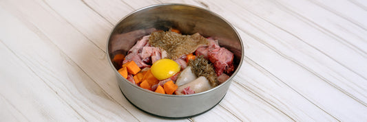Why Great Pet Food Isn't Enough: The Missing Nutrition Link