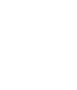 Medium breed